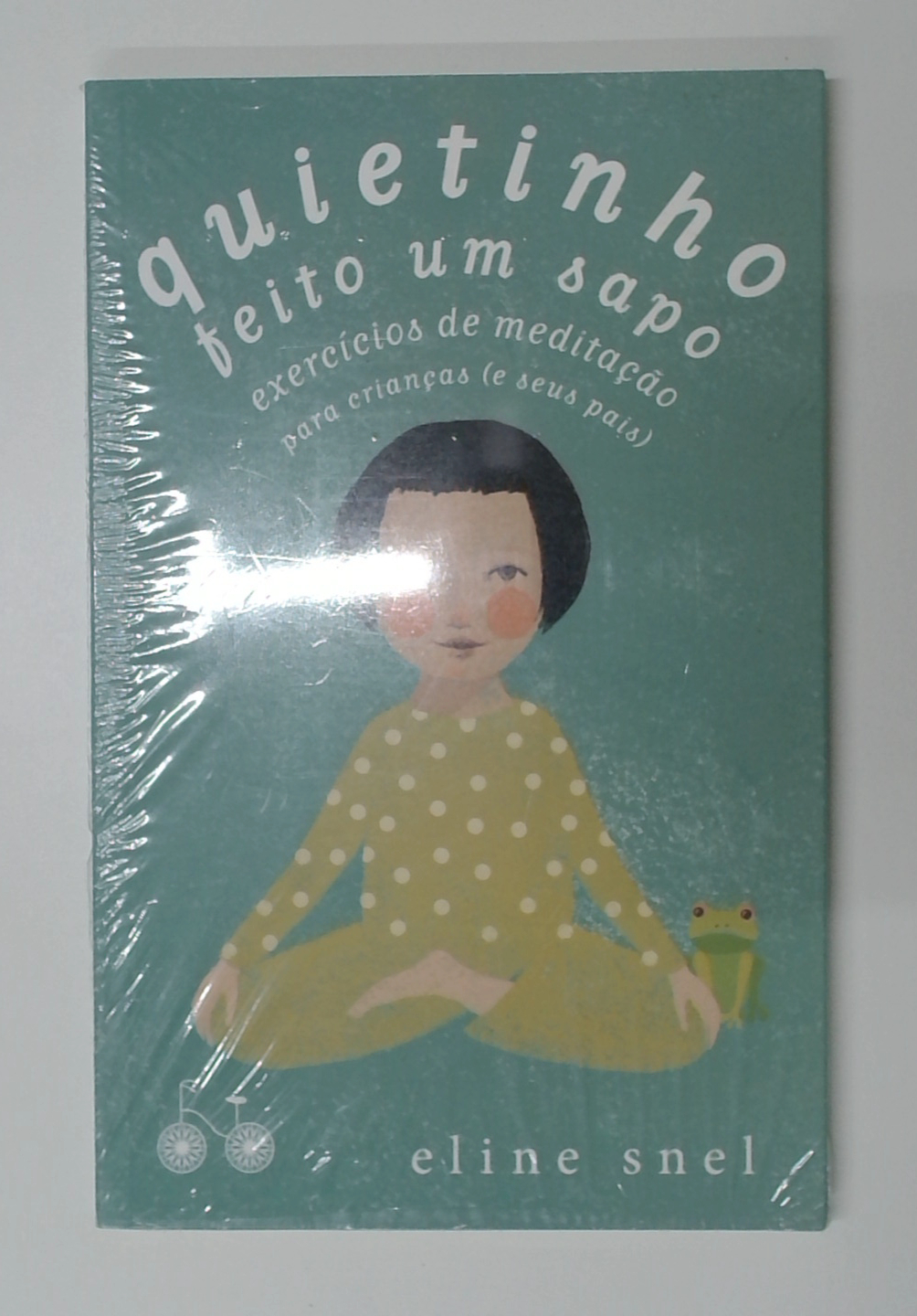 Capa do livro Quietinho Feito Um Sapo