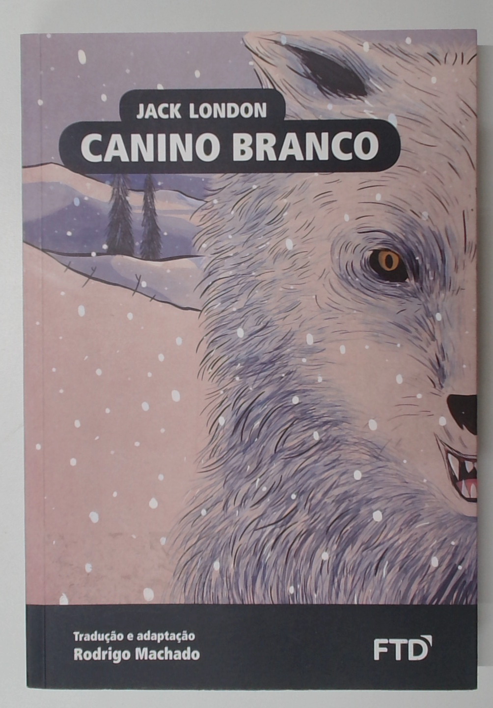 Capa do livro Canino Branco