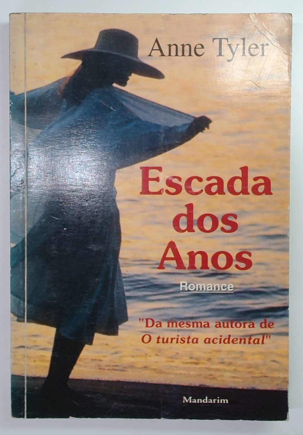 Capa do livro Escada dos Anos