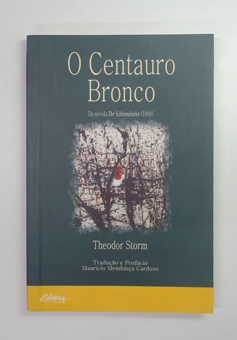 Capa do livro O Centauro Bronco