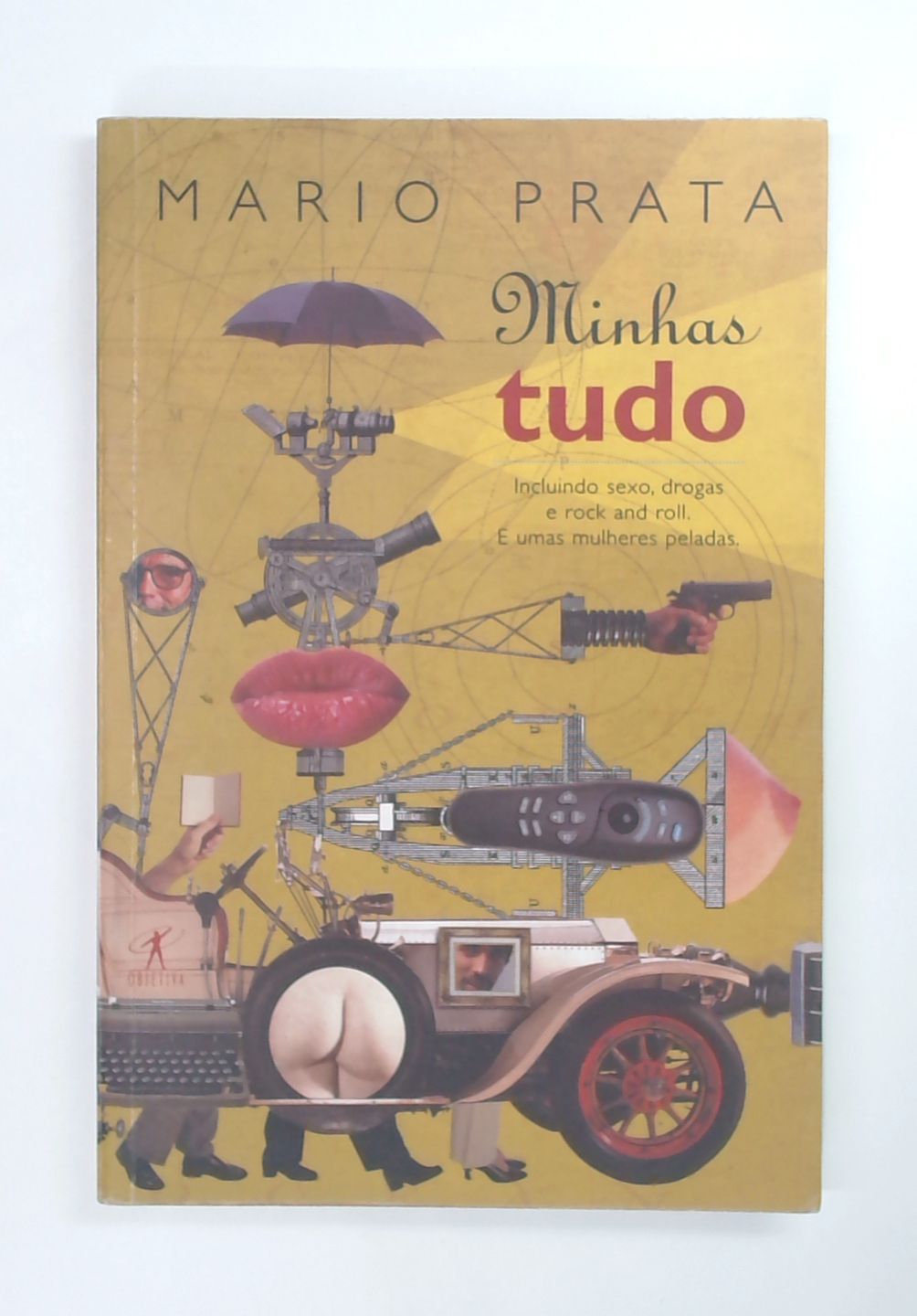 Capa do livro Minhas Tudo