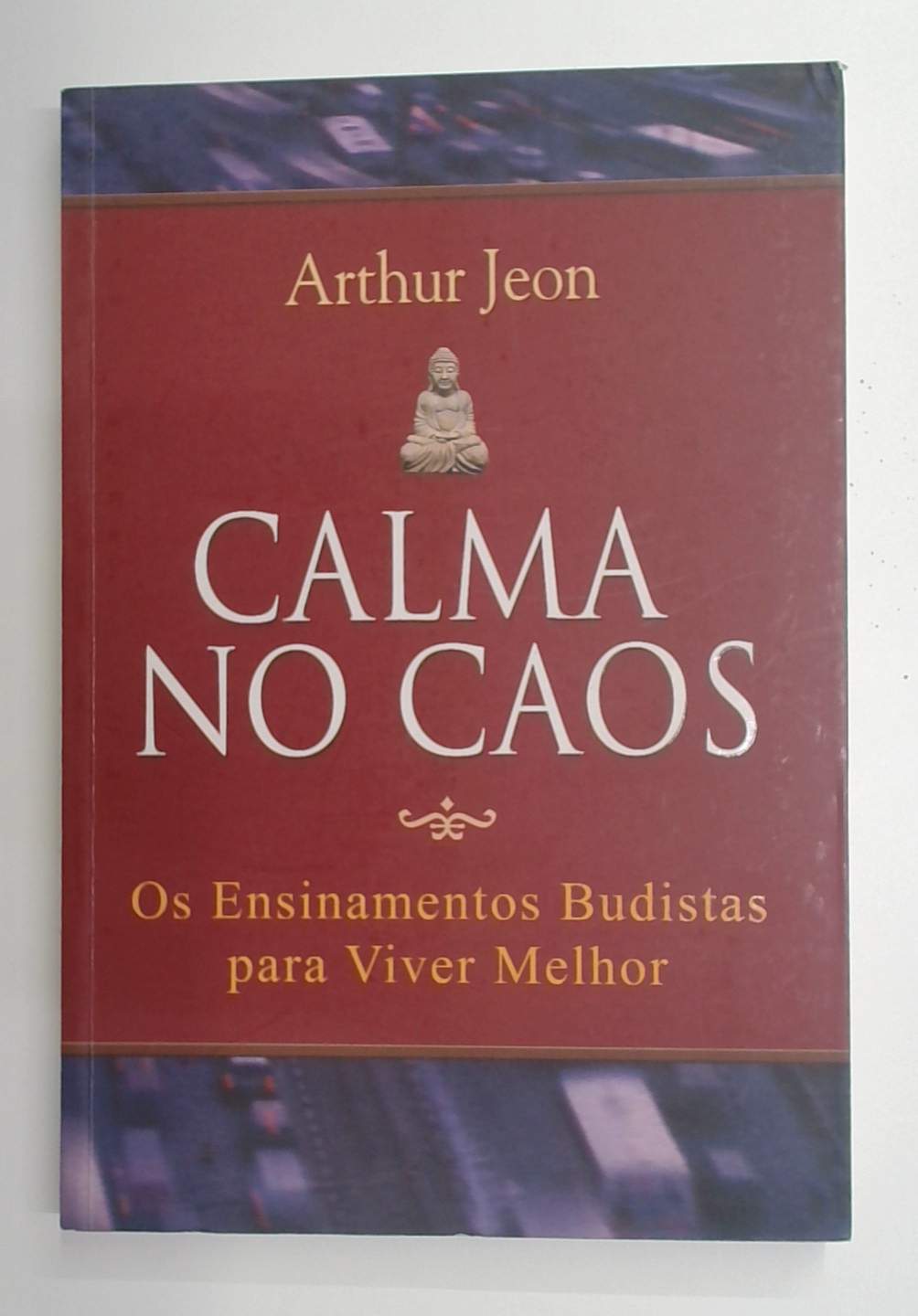 Capa do livro Calma no Caos