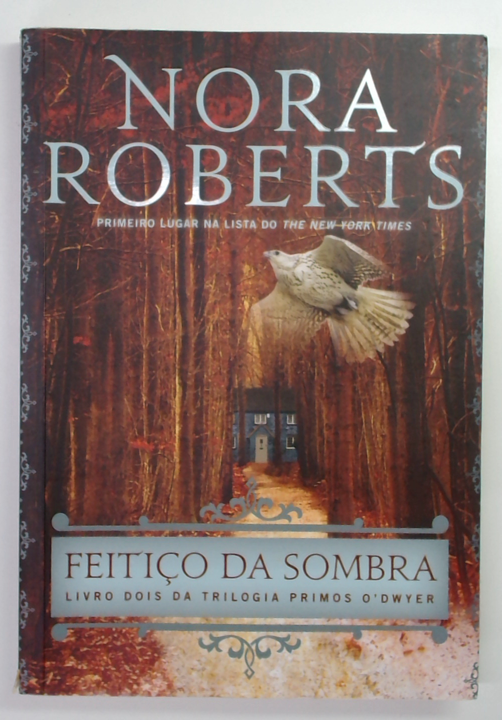 Capa do livro Feitiço da Sombra