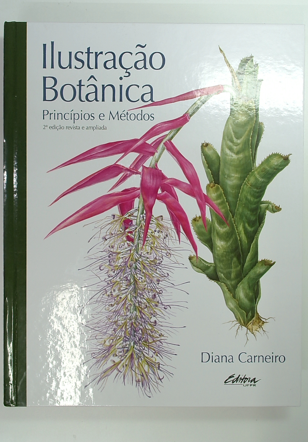 Capa do livro Ilustração Botânica: Princípios e Métodos