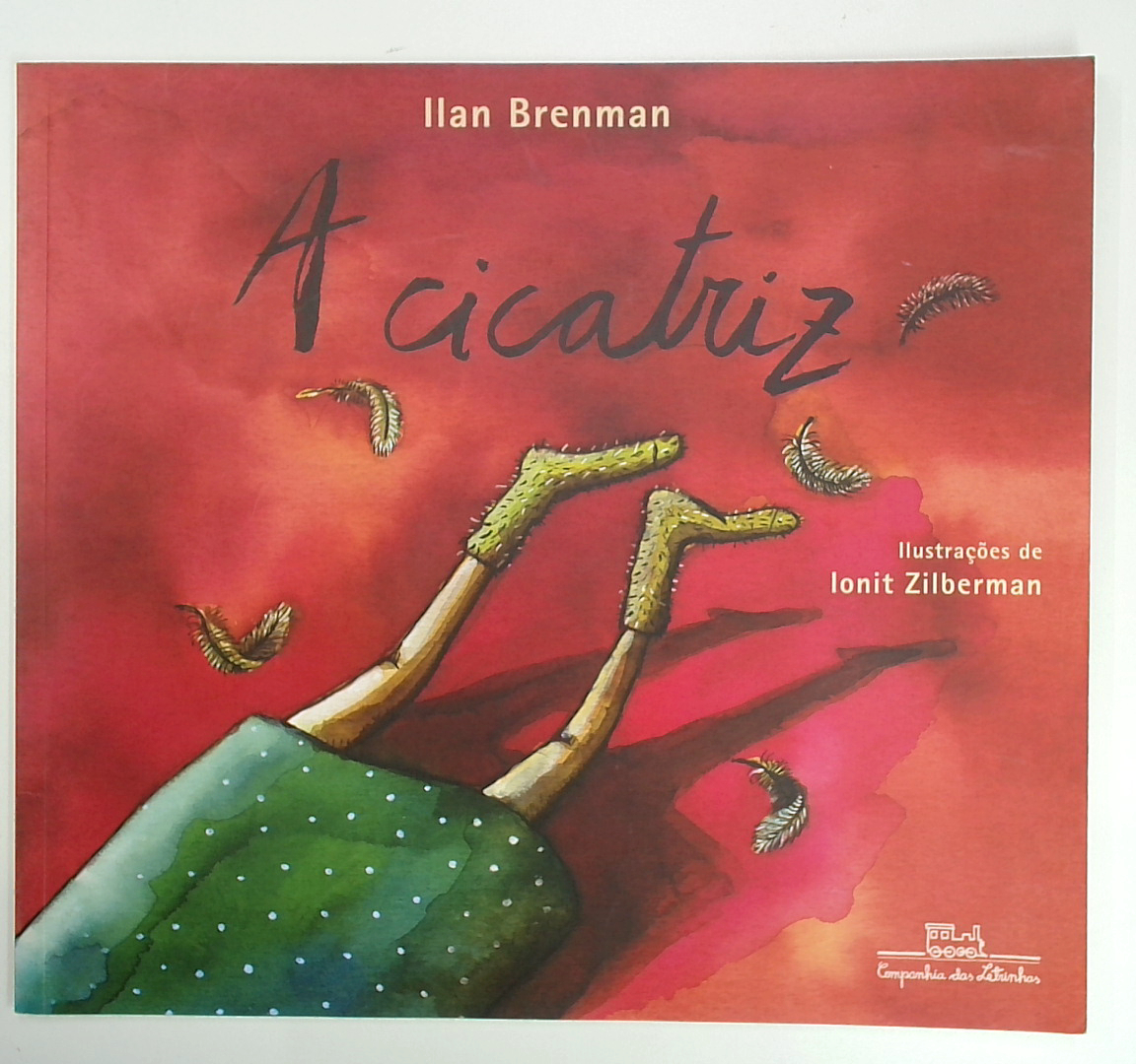 Capa do livro A Cicatriz