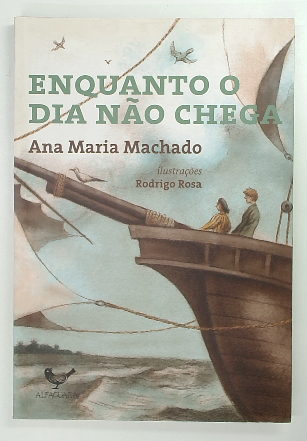 Capa do livro Enquanto o Dia Não Chega