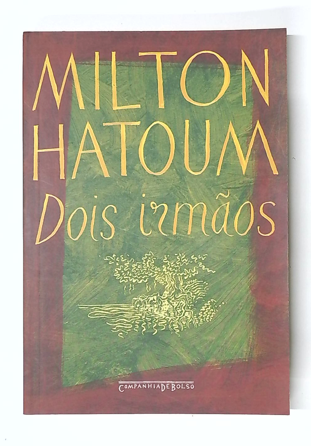 Capa do livro Dois Irmãos