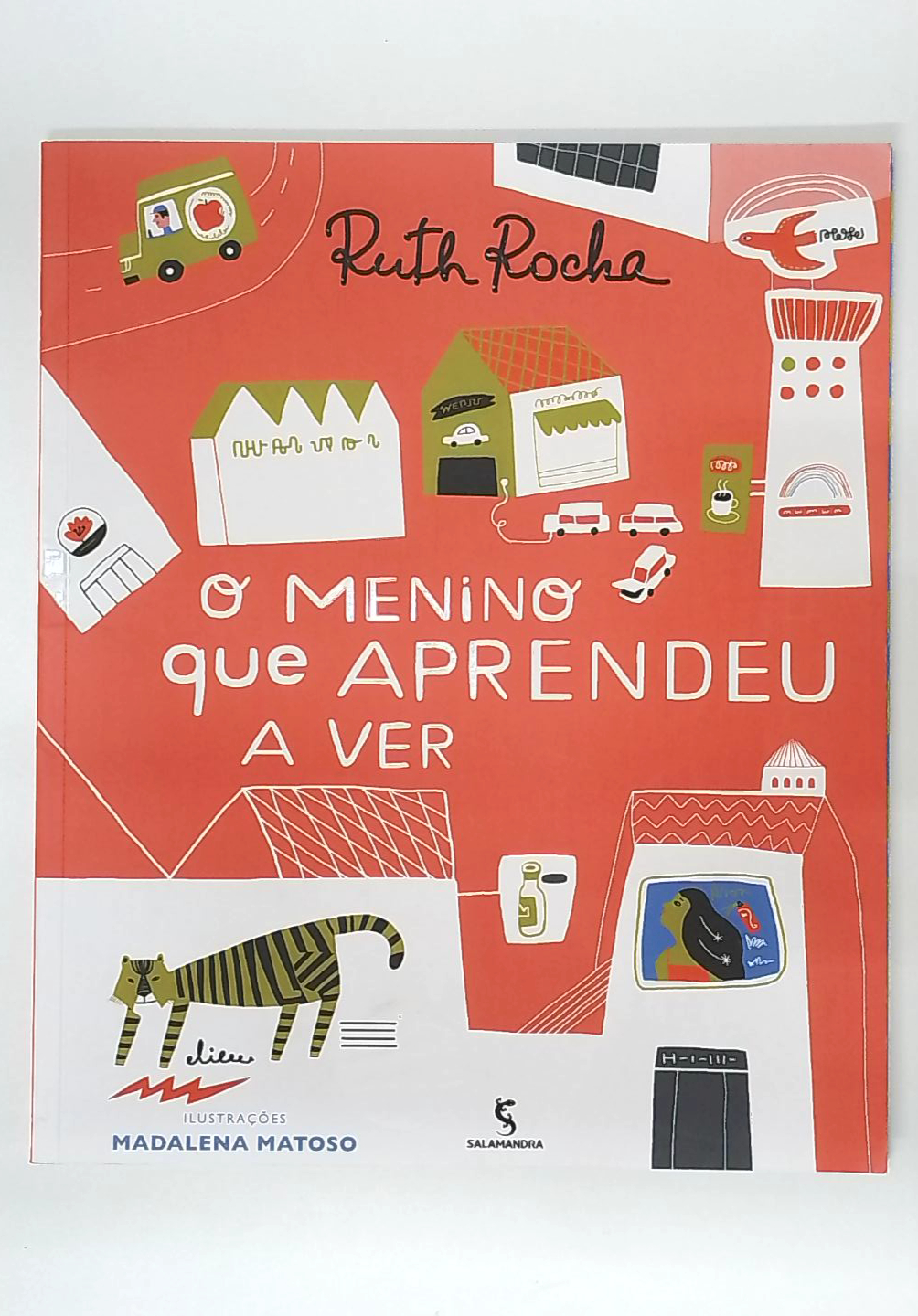 Capa do livro O Menino que Aprendeu a Ver