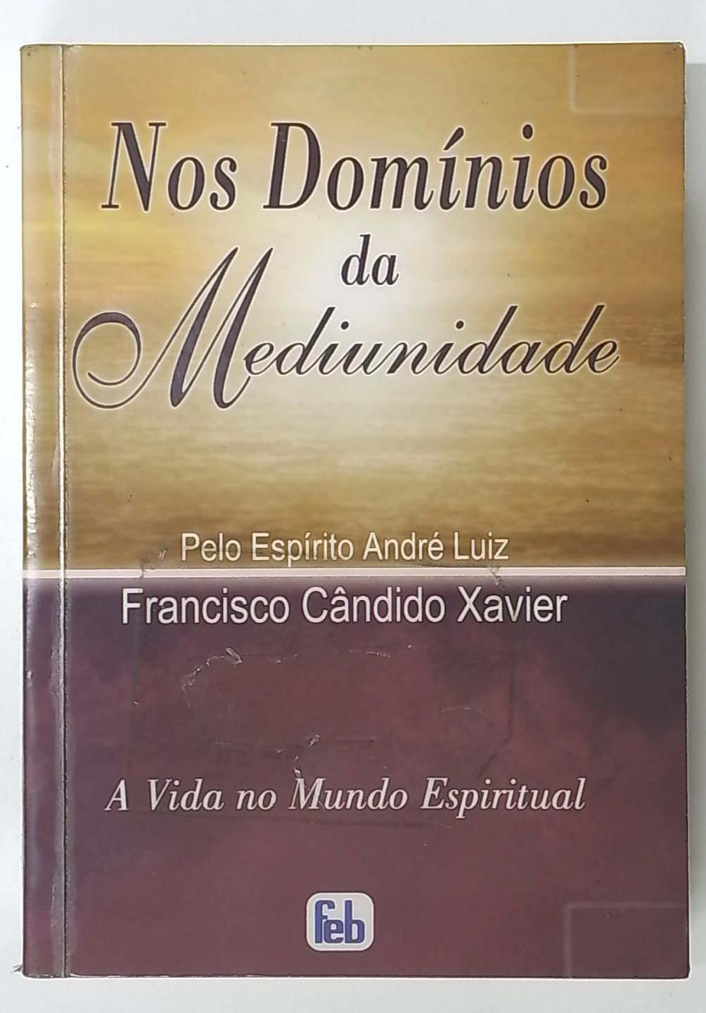 Capa do livro Nos Domínios da Mediunidade