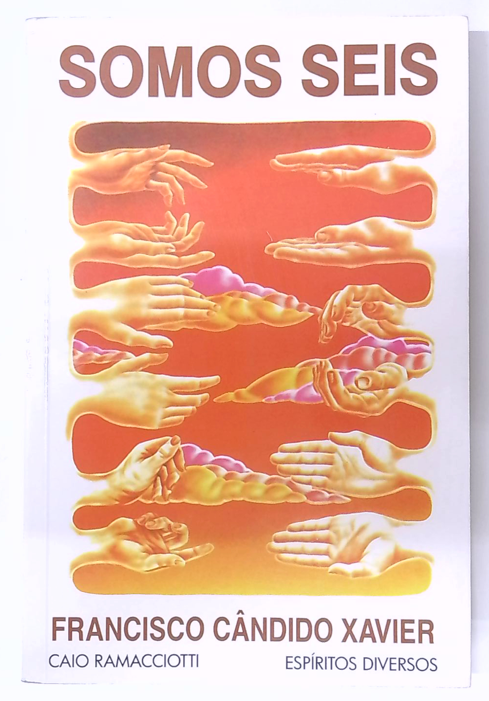 Capa do livro Somos Seis