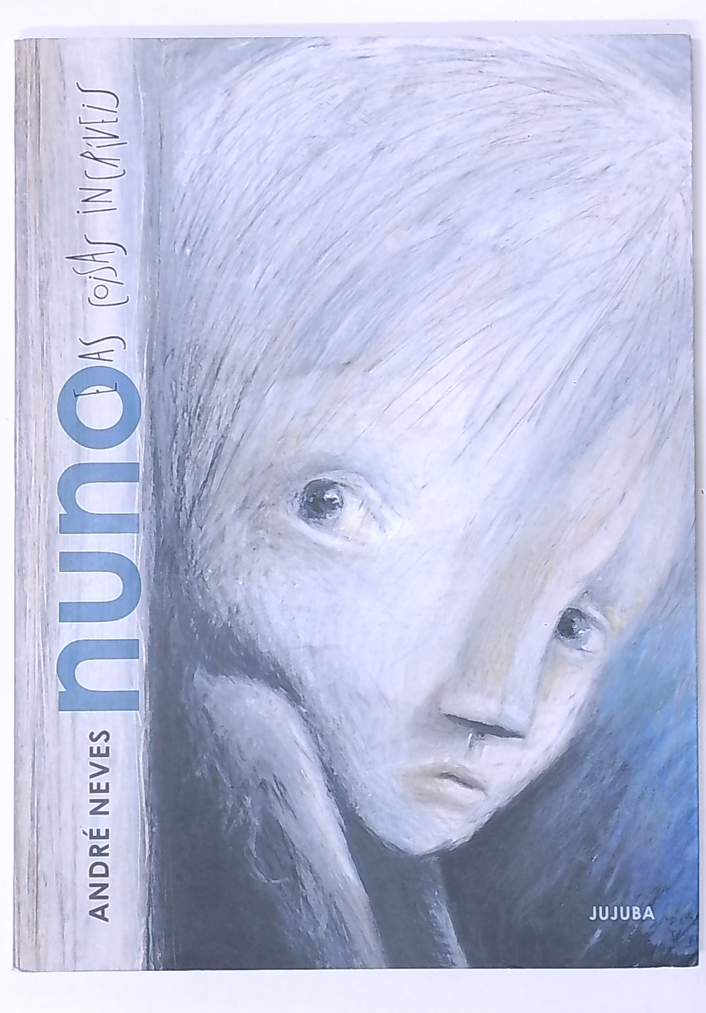 Capa do livro Nuno e as Coisas Incríveis