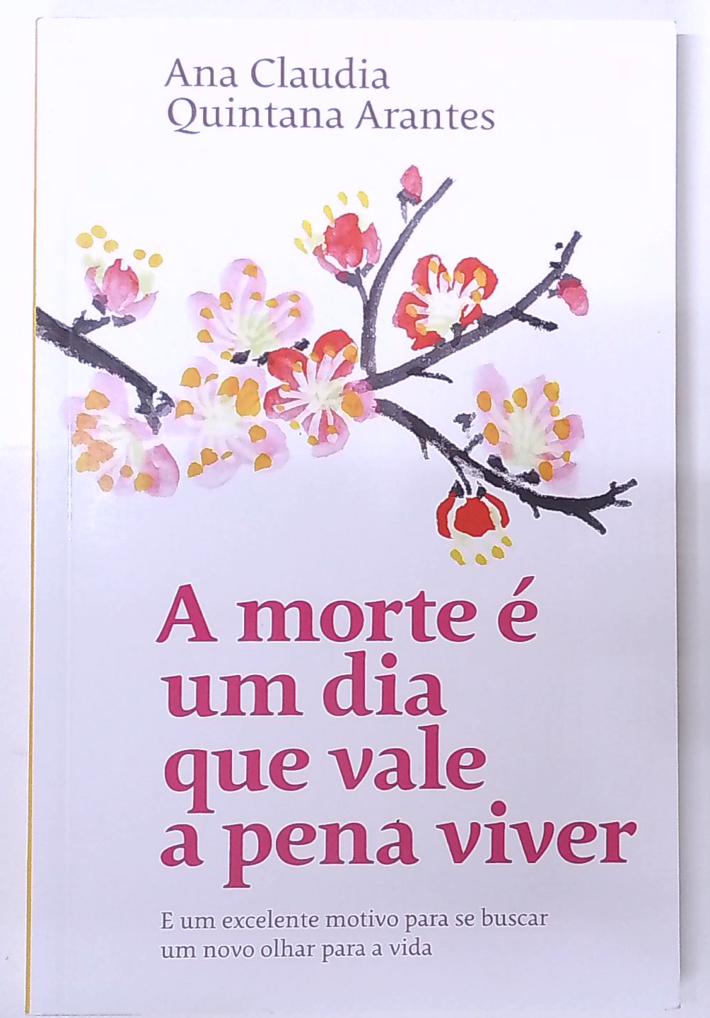 Capa do livro A Morte é um Dia que Vale a Pena Viver