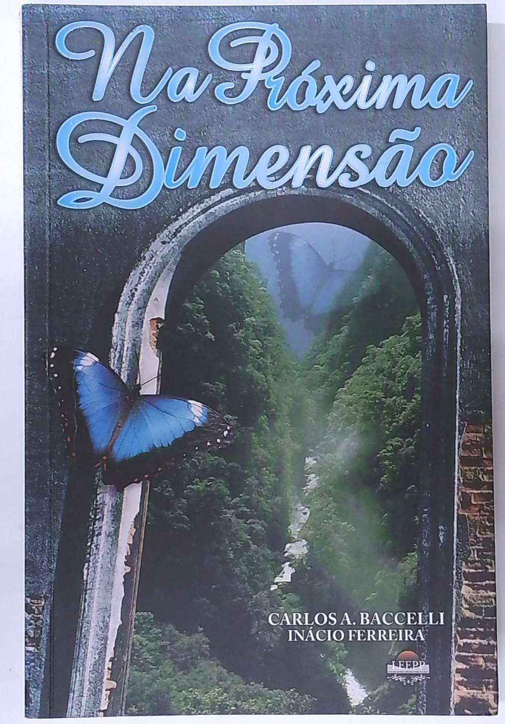 Capa do livro Na Próxima Dimensão