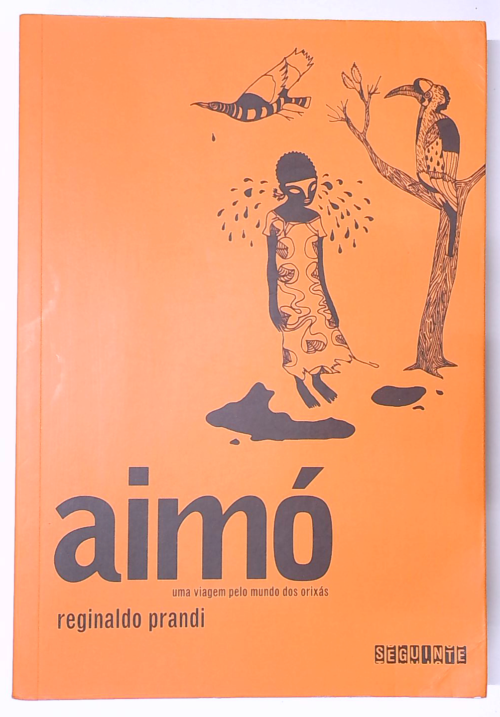 Capa do livro Aimó