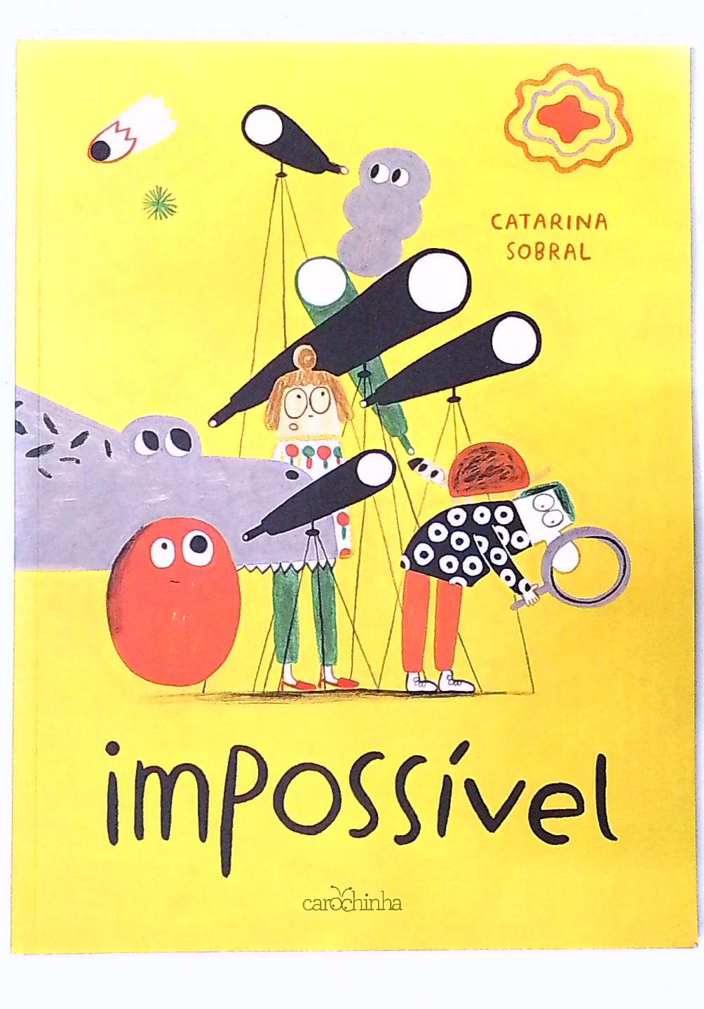 Capa do livro Impossível