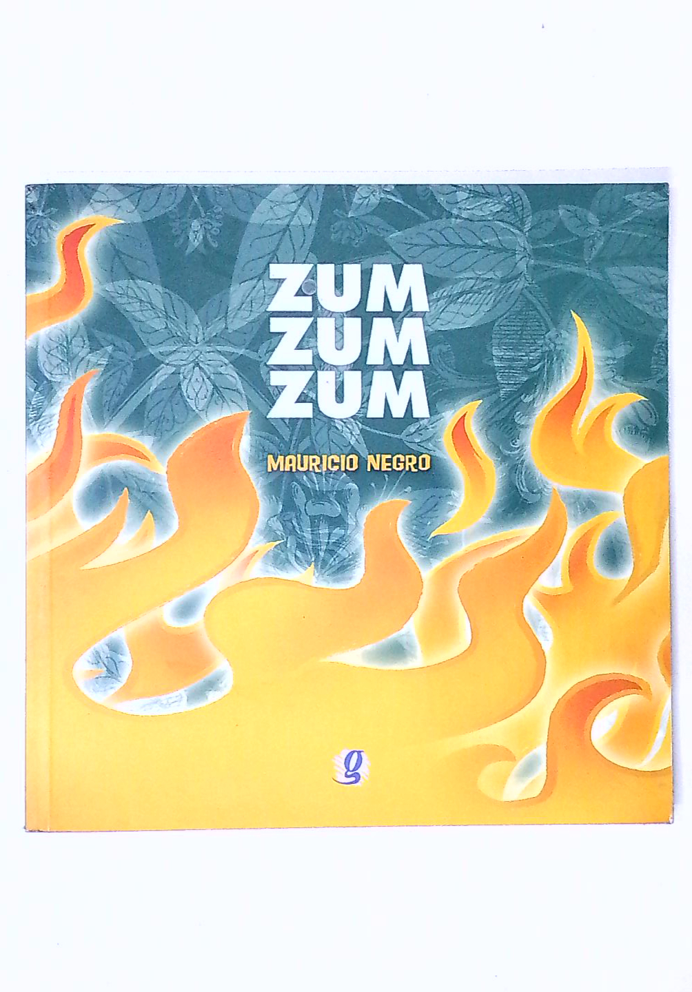 Capa do livro Zum Zum Zum