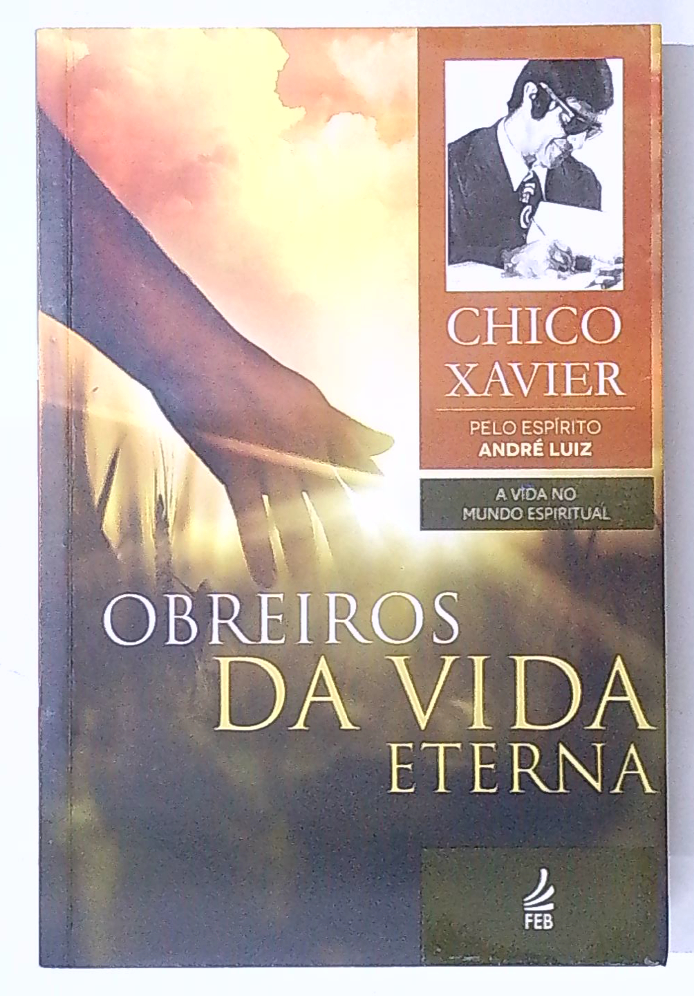 Capa do livro Obreiros da Vida Eterna