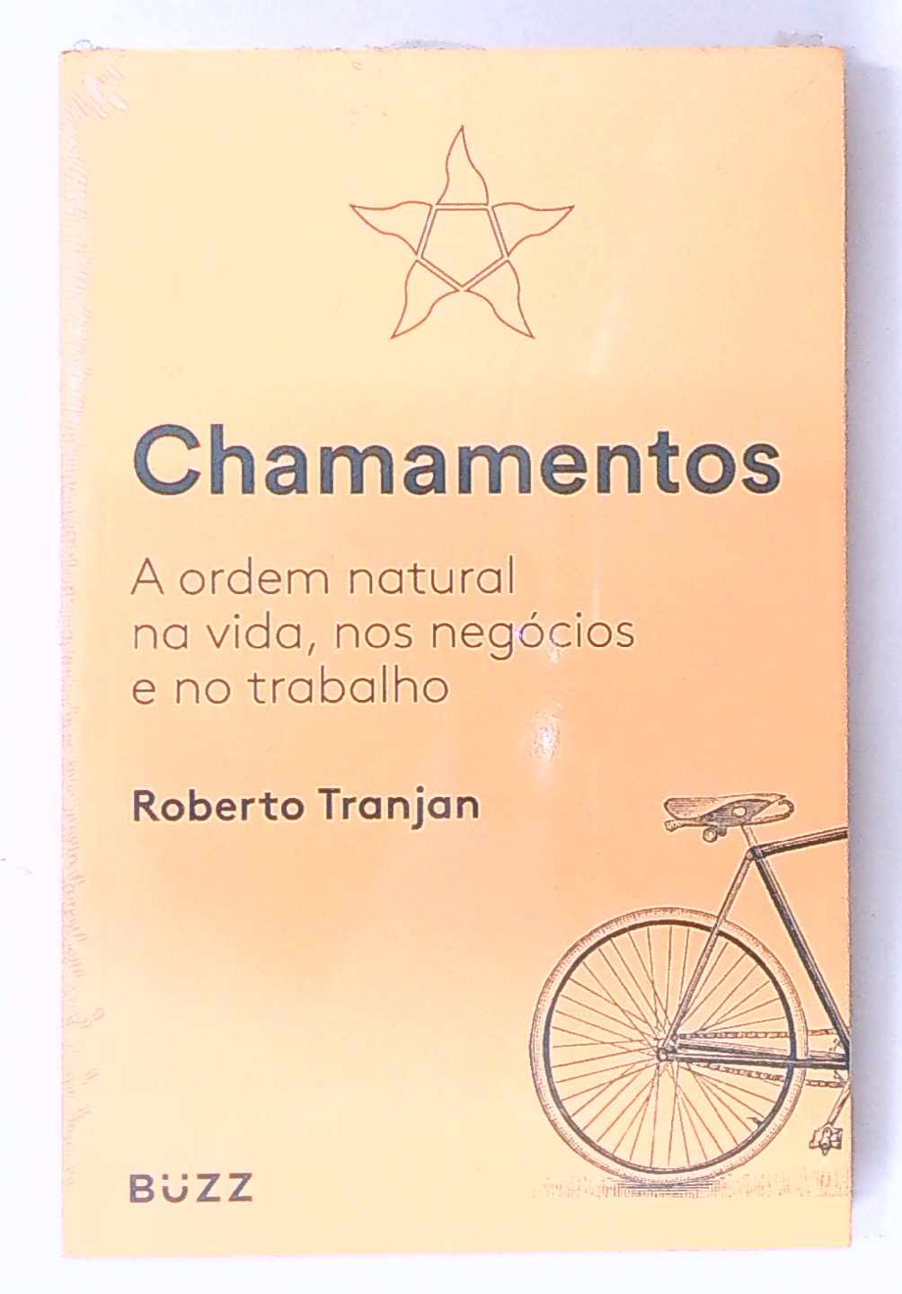 Capa do livro Chamamentos