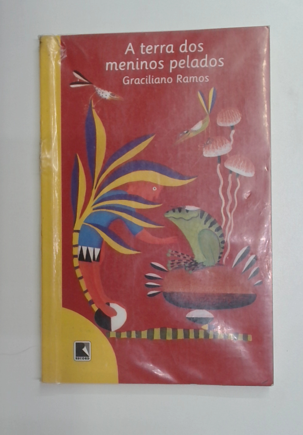 Capa do livro A Terra dos Meninos Pelados