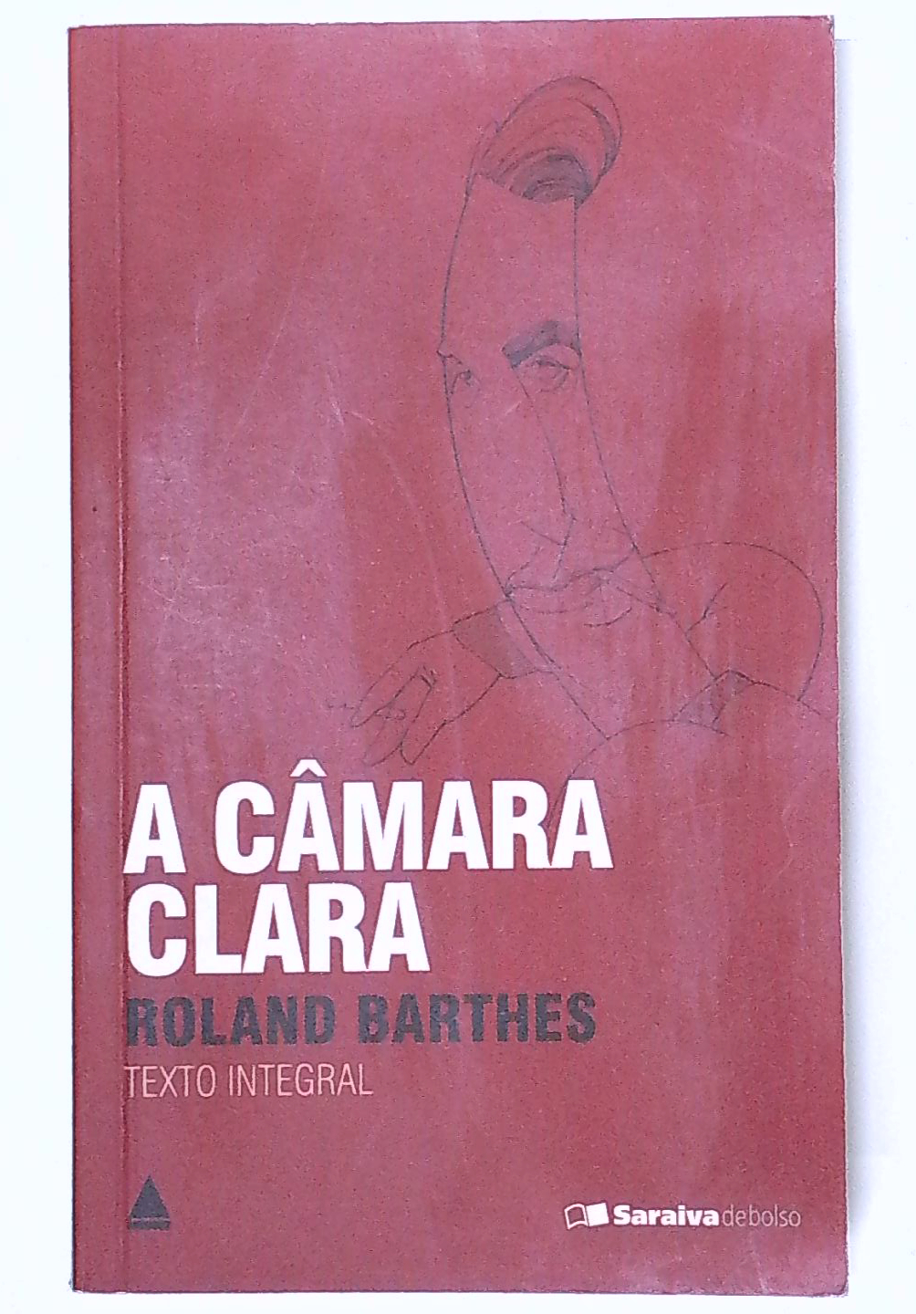 Capa do livro A Câmara Clara
