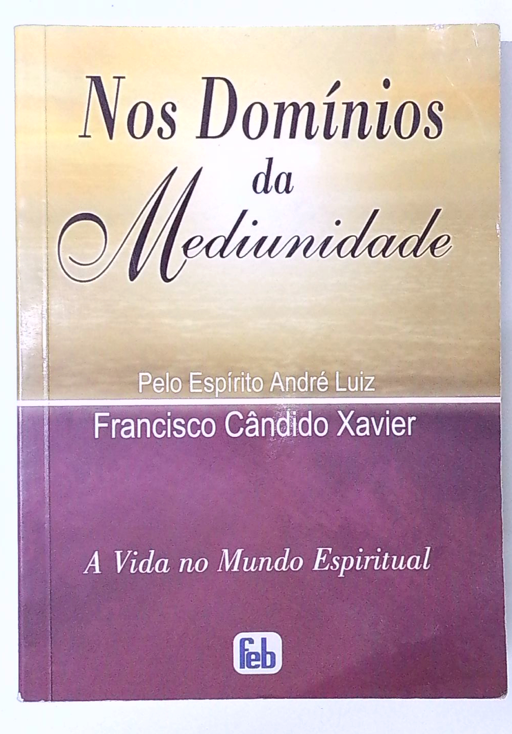 Capa do livro Nos Domínios da Mediunidade