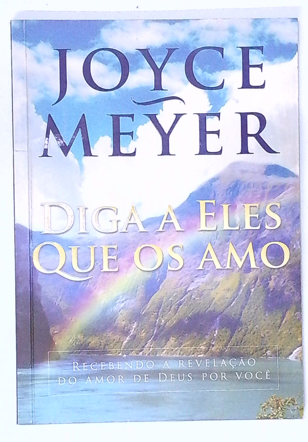 Capa do livro Diga a Eles que os Amo