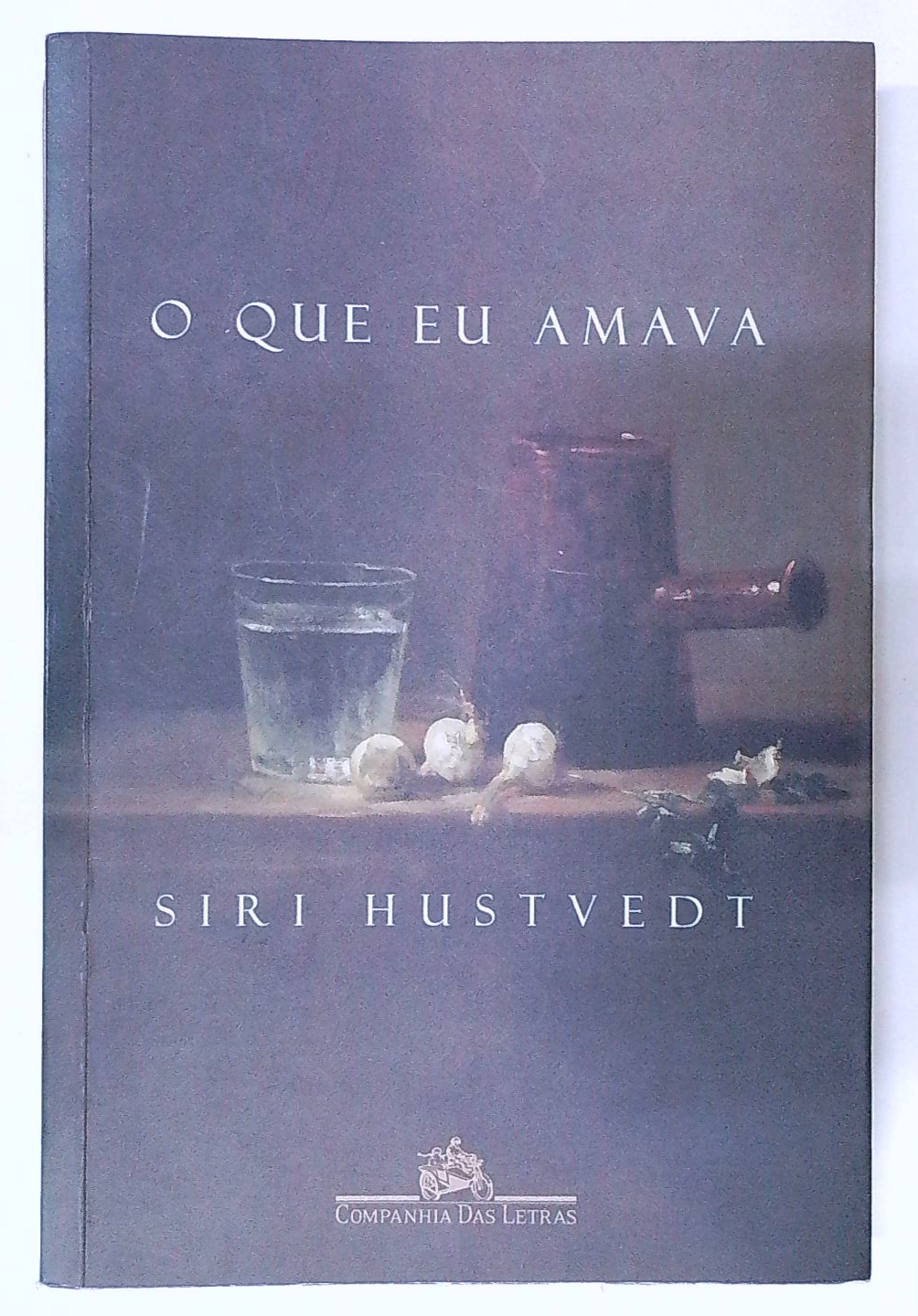 Capa do livro O que Eu Amava