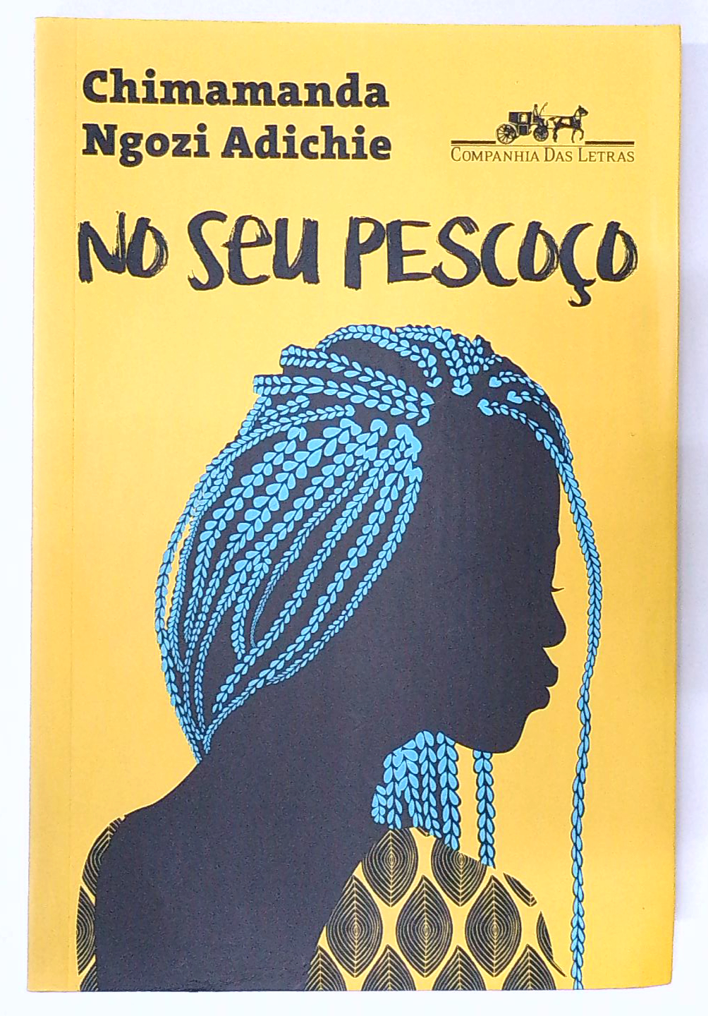 Capa do livro No Seu Pescoço