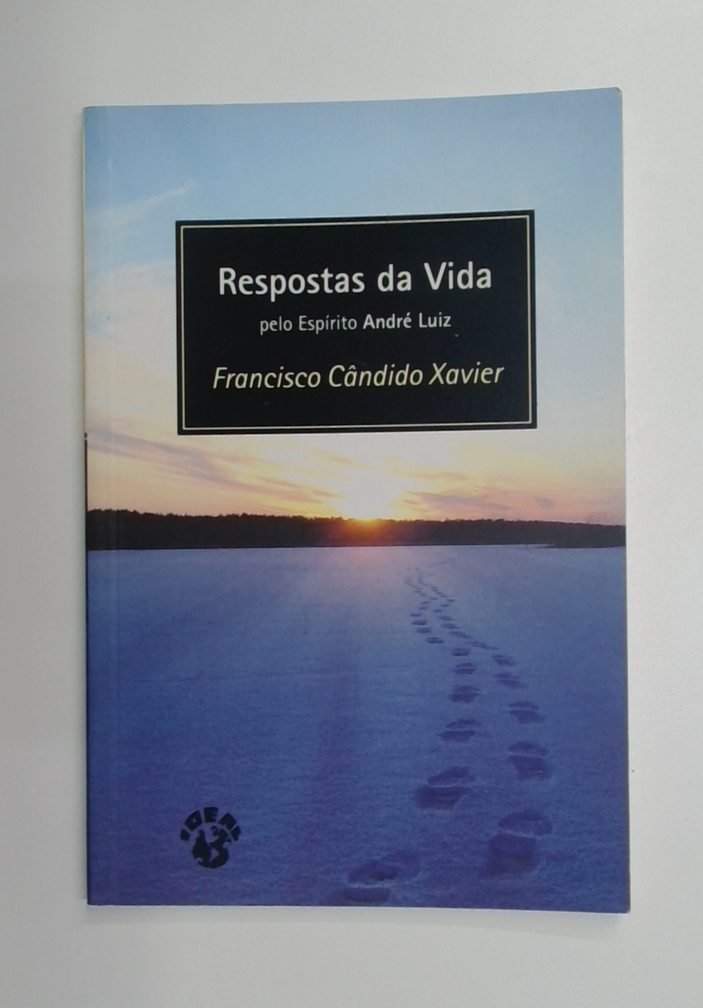 Capa do livro Respostas da Vida
