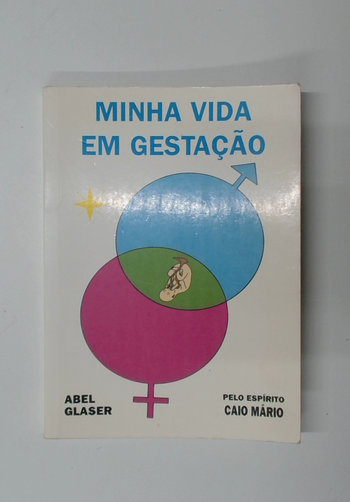 Capa do livro Minha Vida em Gestação