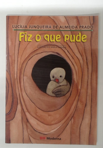 Capa do livro Fiz o que Pude