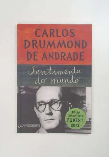 Capa do livro Sentimento do Mundo