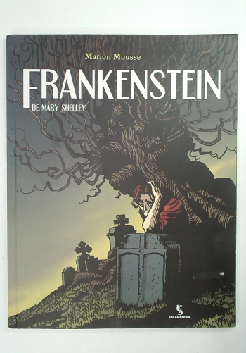 Capa do livro Frankenstein