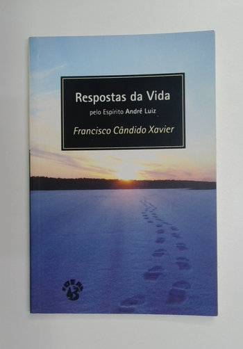 Capa do livro Respostas da Vida